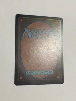 Acid Rain MTG Legends MP English - Image 4