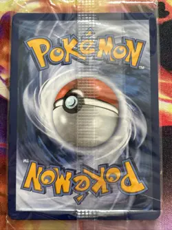 Sealed Mega Charizard X eX 023 + Oricorio 024 Pokemon Card TCG - Image 3