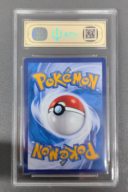 APH 10 2023 Pokemon TCG S-Chinese Promo 082/S-P Friends In Galarian Holo - Image 2