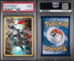 PSA 8 White Kyurem 2015 Black Star Promos XY81 Pokemon Card - Image 2