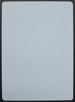 RARE SIGNED MtG Magic Christopher Rush _ Revised Artist Proof _ MANABARBS _1/100 - Image 2