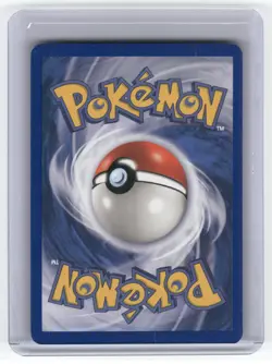 Horsea Dragon Uncommon Pokemon Near Mint or Better - Image 2