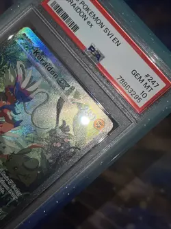 PSA 10 Pokemon Koraidon ex 247/198 Sv01: Scarlet & Violet Base Set SIR Holo Rare - Image 2