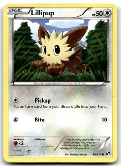 Lillipup (80) 80/114 Black and White Common Normal Pokemon TCG MP - Image 1