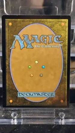 Soul Warden (Borderless) Special Guests Regular - Image 2