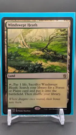 Magic The Gathering Khans of Tarkir Windswept Heath #248/269 MTG TCG CCG - Image 1