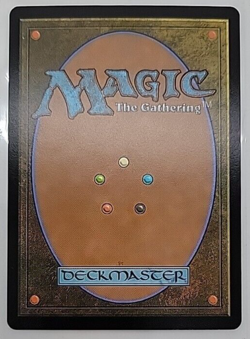 Riku of Many Paths - FOIL EXTENDED ART 0361 - Outlaws of Thunder Junction - MTG - Image 2