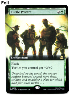 Turtle Power! (Extended Art) - FOIL - [Teenage Mutant Ninja Turtles] MTG TMT 275 - Image 1