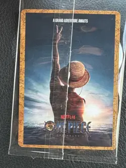 DON!! Tony Tony Chopper Netflix Promo 10 pcs ONE PIECE Card Game CCG Japanese - Image 3