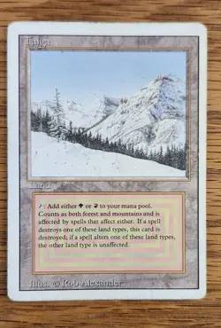 MTG Taiga Dual Land Revised Edition, HP Condition - Image 3