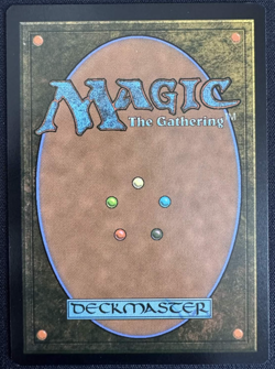 MTG Normal Painter's Servant (Borderless) Special Guests 147 NM - Image 2