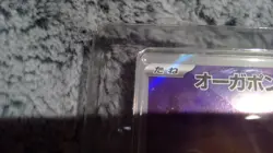 Japanese Teal Mask Ogerpon PROMO SV-P Full Art OVERSIZED CARD Ready For Grading - Image 5