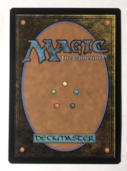 Citadel Siege 081 Commander Innistrad Midnight Hunt MTG Magic The Gathering NM - Image 2