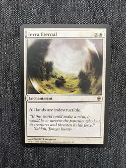 Terra Eternal MTG NM Worldwake 1x English - Image 1