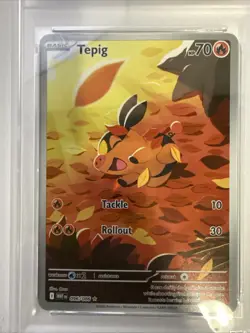 Pokemon TCG Tepig 096/086 Illustration Rare White Flare English PSA 9 - Image 3