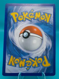 Bidoof 116/160 XY - Primal Clash FRENCH Pokemon TCG Regular Lightly Played - Image 2