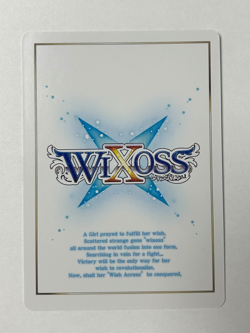 VJ WOLF - Standby (Onsen) - Promo Cards (WXDi-P) - Image 2