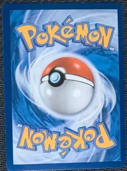 Pokemon TCG Charizard V SWSH260 & Charmander 044 - Duo BLACK STAR PROMOS - NM - Image 3