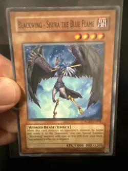 Yugioh Blackwing - Shura the Black Flame RGBT-EN011 Common - Image 1