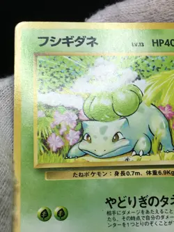 Bulbasaur 3 - COMMON Base Set 1996 - Japanese Pokemon - Image 4