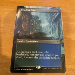 MTG Magic The Gathering - Breeding Pool #293 (Borderless) Ravnica Remastered NM - Image 1