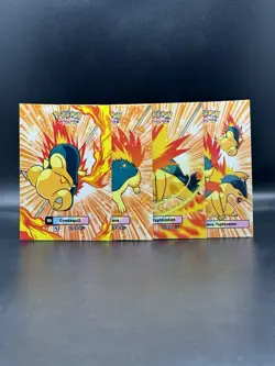 Cyndaquil Quilava Typhlosion Attacks 2 Database Set Cracked Ice Johto Pokemon - Image 1