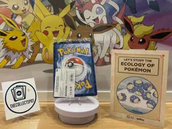 Pokemon x Natural History Museum: Pikachu at the Museum (Sealed) Promo Card - Image 2