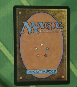 Into the Flood Maw Bloomburrow FOIL MTG NM - Image 2