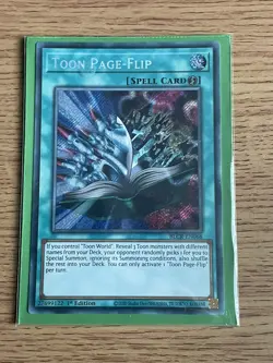 Yugioh Toon Page-Flip BLCR-EN068 1st Edition Secret Rare NM card - Image 4