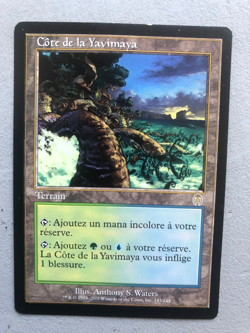 Mtg Carte Magic Apocalypse Yavimaya Coast French LP/MP - Image 1