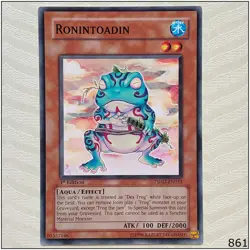 Ronintoadin - TSHD-EN033 - Common 1st Edition Yugioh - Image 1