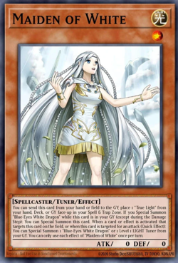 Maiden of White - SDWD-EN041 - Secret Rare 1st Edition NM - Yu-Gi-Oh - Image 1