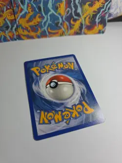 Seedot 77/100 EX Sandstorm Pokemon Card NM - Image 3