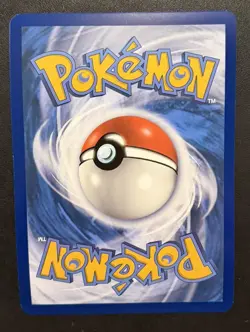 JUMBO Gyarados GX Hidden Fates Black Star Promo SM212 2019 Pokemon Oversized NM - Image 2