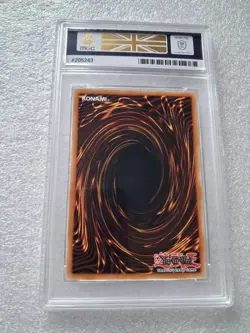 MGC GRADED ASCENSION SKY DRAGON ULTRA RARE 1ST ED- Yu-Gi-Oh CARD LEHD #205243 - Image 2