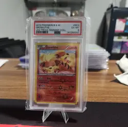 Pokemon Growlithe RC4 Legendary Treasures Radiant Collection 138660130 PSA 6 - Image 1