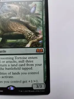 Near Mint, English - 1 x MTG Blossoming Tortoise Wilds of Eldraine Land Support - Image 4