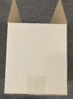 Pokemon Trading Card Unova Victini Illustration Collection Case (6 Box) Opened - Image 4