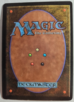 MTG - Beta - Consecrate Land - Very Light PLay - Image 2