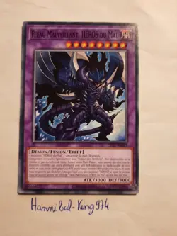 Yu-Gi-Oh ! Fleau Malveillant, heros du mal OP27-FR021 Commune - Image 1
