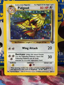 Pokemon tcg Jungle Pidgeot (8) Holo #08/64 - Image 1