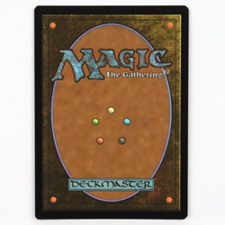 Verdant Catacombs - Foil Retro Frame - MTG Modern Horizons 2 - NM - Image 2