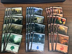MTG Time Spiral Basic Land Playset, 4x Of Each Art (80 Total Cards) - Image 1