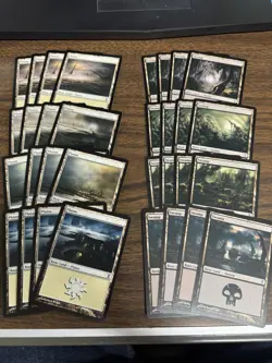 MTG Time Spiral Basic Land Playset, 4x Of Each Art (80 Total Cards) - Image 2