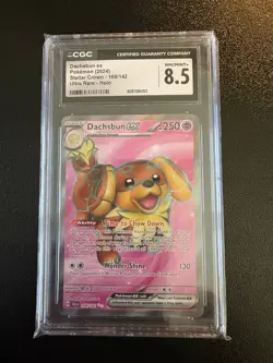CGC 8.5 DACHSBUN EX Ultra Rare Holo Stellar Crown 160/142 Pokemon Card - Graded - Image 1