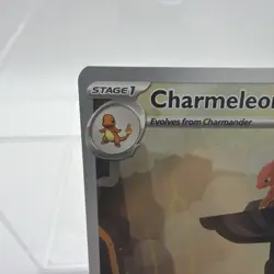 169/165 Charmeleon - Pokemon 151 English - Illustration Rare - Pokemon Card TCG - Image 3