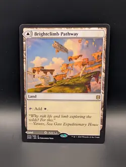 MTG - Brightclimb Pathway/Grimclimb Pathway - Land (W/B) - ZNR #259 - Rare - Image 1