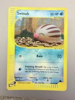 2003 Pokemon Swinub 107/144 Skyridge Reverse Holo - Never Played - Image 1