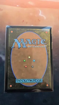 MTG Delighted Halfling The Lord of the Rings: Tales of Middle-earth 402 NON-Foil - Image 2