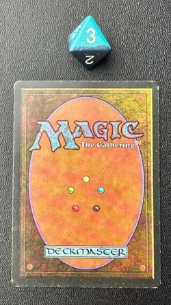 MTG Savannah Revised English Lightly Played - Image 2